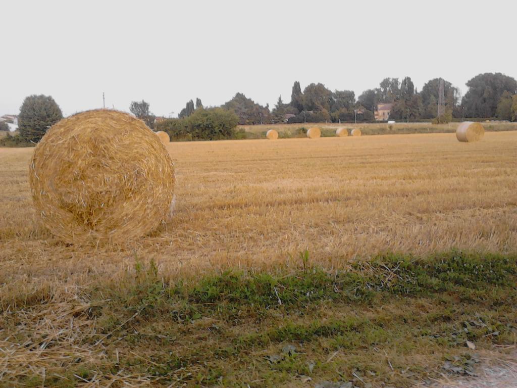 Green Fields Padova Ngoại thất bức ảnh