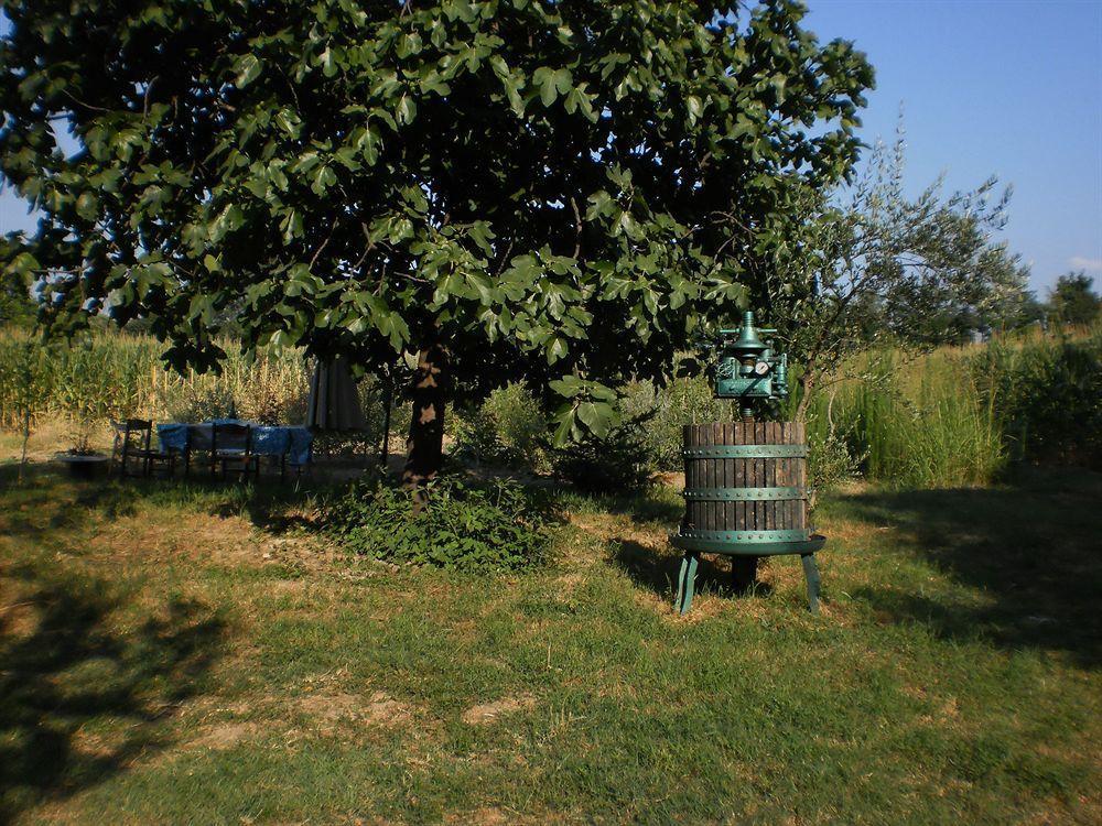 Green Fields Padova Ngoại thất bức ảnh